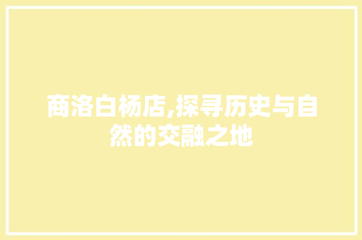 商洛白杨店,探寻历史与自然的交融之地