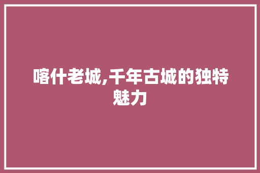 喀什老城,千年古城的独特魅力