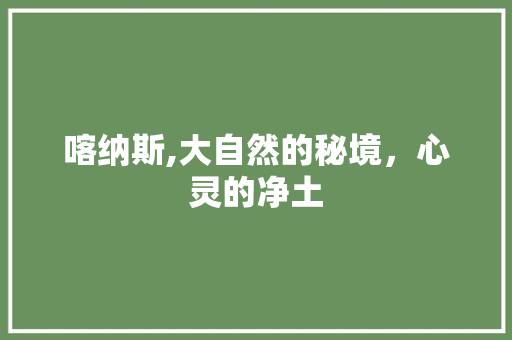 喀纳斯,大自然的秘境，心灵的净土