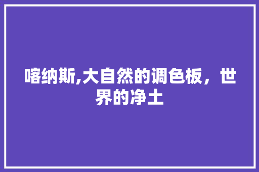 喀纳斯,大自然的调色板，世界的净土