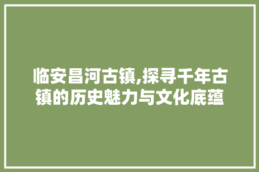 临安昌河古镇,探寻千年古镇的历史魅力与文化底蕴