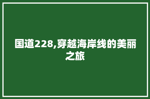 国道228,穿越海岸线的美丽之旅