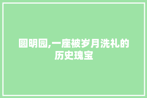 圆明园,一座被岁月洗礼的历史瑰宝