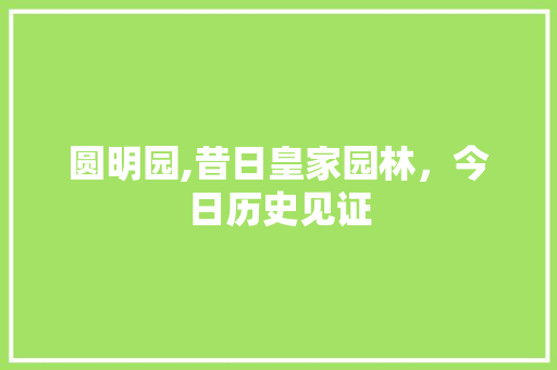 圆明园,昔日皇家园林，今日历史见证