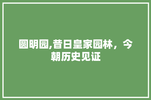 圆明园,昔日皇家园林，今朝历史见证