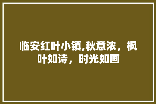 临安红叶小镇,秋意浓，枫叶如诗，时光如画