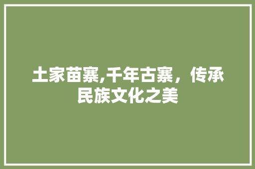 土家苗寨,千年古寨，传承民族文化之美