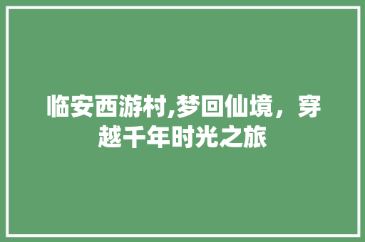 临安西游村,梦回仙境，穿越千年时光之旅