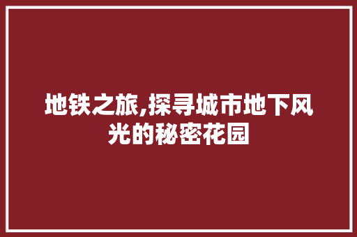 地铁之旅,探寻城市地下风光的秘密花园