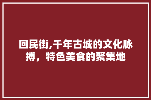 回民街,千年古城的文化脉搏，特色美食的聚集地