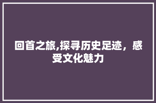 回首之旅,探寻历史足迹，感受文化魅力