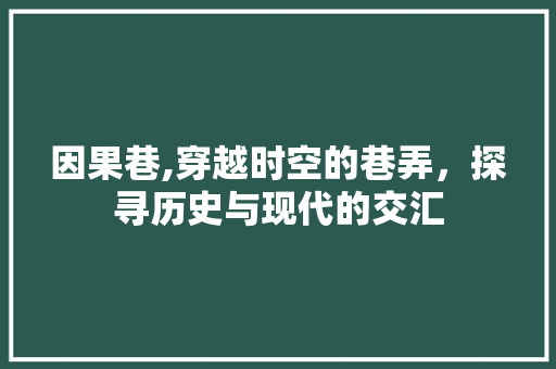 因果巷,穿越时空的巷弄，探寻历史与现代的交汇