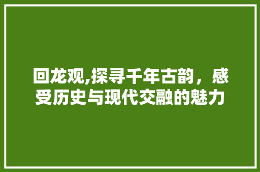 回龙观,探寻千年古韵，感受历史与现代交融的魅力