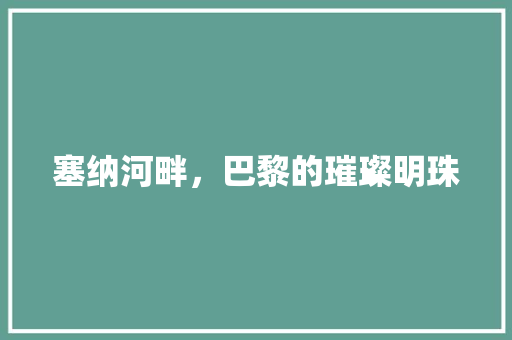 塞纳河畔，巴黎的璀璨明珠