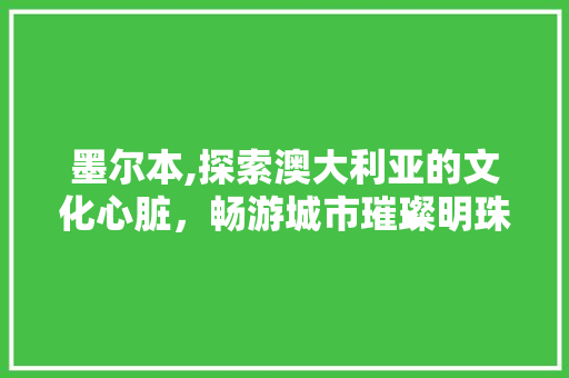 墨尔本,探索澳大利亚的文化心脏，畅游城市璀璨明珠