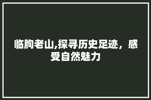 临朐老山,探寻历史足迹，感受自然魅力