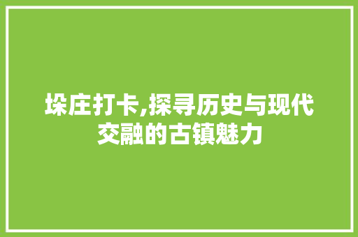 垛庄打卡,探寻历史与现代交融的古镇魅力