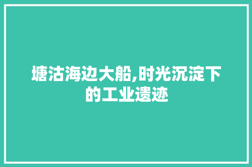 塘沽海边大船,时光沉淀下的工业遗迹