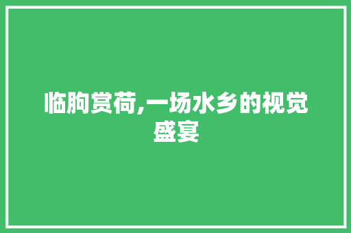 临朐赏荷,一场水乡的视觉盛宴