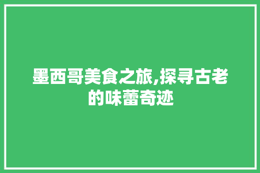 墨西哥美食之旅,探寻古老的味蕾奇迹