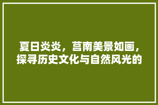 夏日炎炎，莒南美景如画，探寻历史文化与自然风光的完美融合