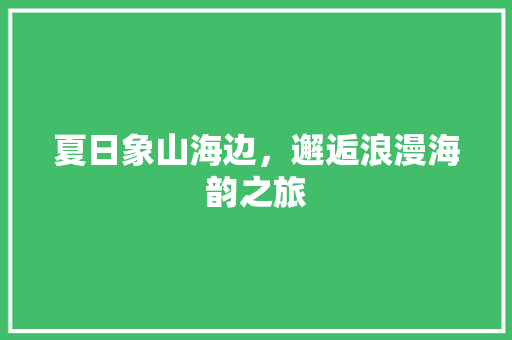 夏日象山海边，邂逅浪漫海韵之旅