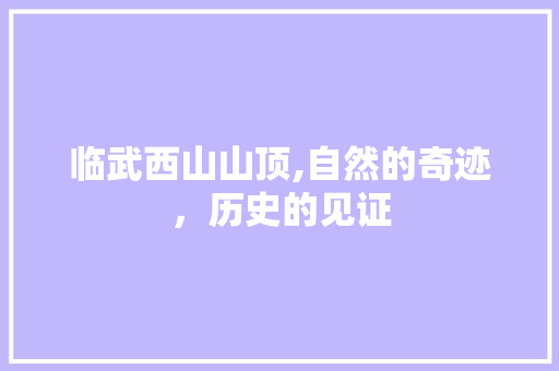 临武西山山顶,自然的奇迹，历史的见证