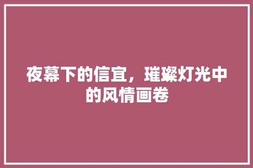 夜幕下的信宜，璀璨灯光中的风情画卷