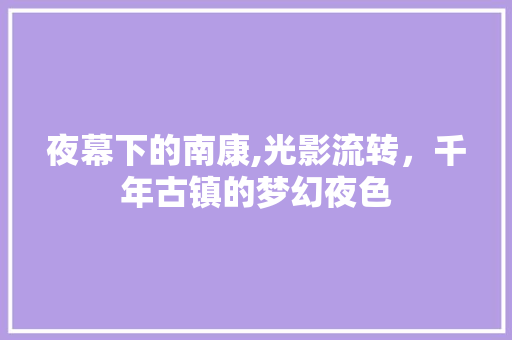 夜幕下的南康,光影流转，千年古镇的梦幻夜色