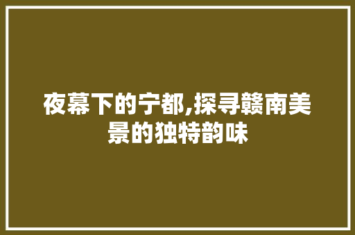 夜幕下的宁都,探寻赣南美景的独特韵味