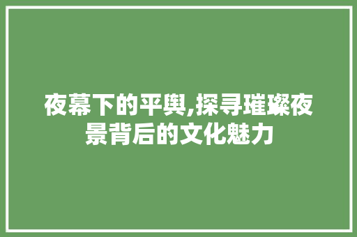 夜幕下的平舆,探寻璀璨夜景背后的文化魅力