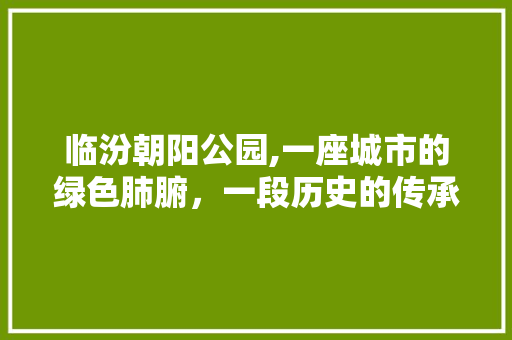 临汾朝阳公园,一座城市的绿色肺腑，一段历史的传承足迹