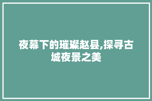 夜幕下的璀璨赵县,探寻古城夜景之美