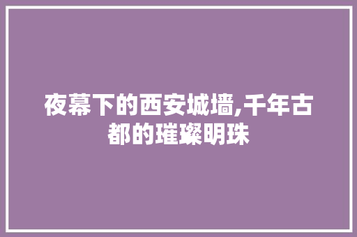 夜幕下的西安城墙,千年古都的璀璨明珠