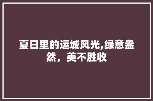 夏日里的运城风光,绿意盎然，美不胜收