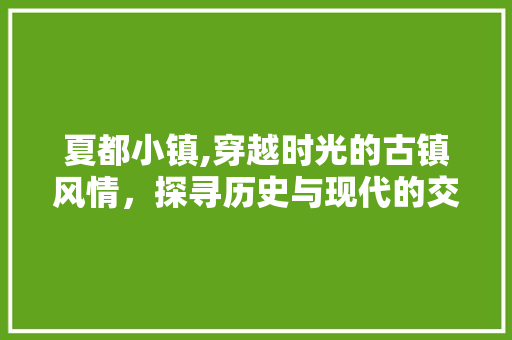 夏都小镇,穿越时光的古镇风情，探寻历史与现代的交融之美