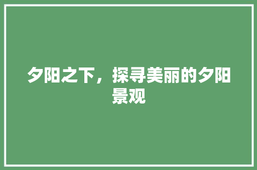 夕阳之下，探寻美丽的夕阳景观