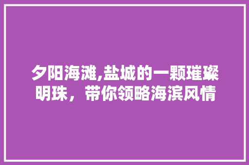 夕阳海滩,盐城的一颗璀璨明珠，带你领略海滨风情