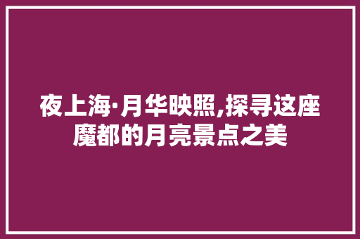 夜上海·月华映照,探寻这座魔都的月亮景点之美