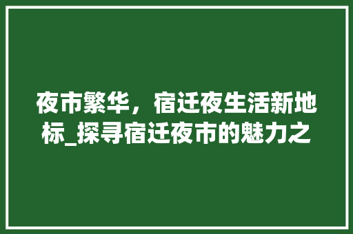 夜市繁华，宿迁夜生活新地标_探寻宿迁夜市的魅力之光