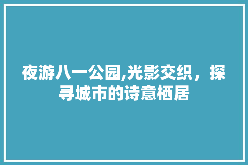 夜游八一公园,光影交织，探寻城市的诗意栖居