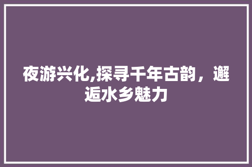 夜游兴化,探寻千年古韵，邂逅水乡魅力