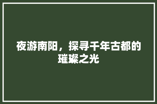 夜游南阳，探寻千年古都的璀璨之光