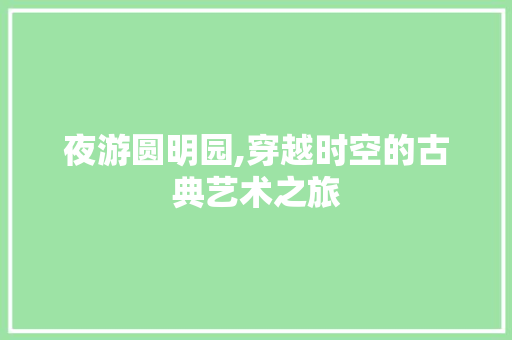 夜游圆明园,穿越时空的古典艺术之旅