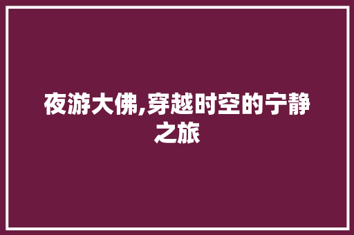 夜游大佛,穿越时空的宁静之旅