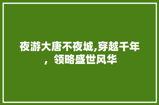 夜游大唐不夜城,穿越千年，领略盛世风华