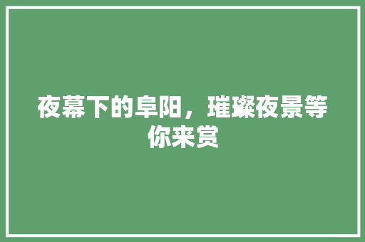 夜幕下的阜阳，璀璨夜景等你来赏