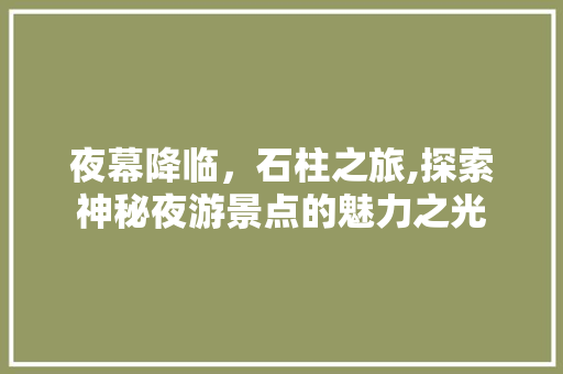 夜幕降临，石柱之旅,探索神秘夜游景点的魅力之光