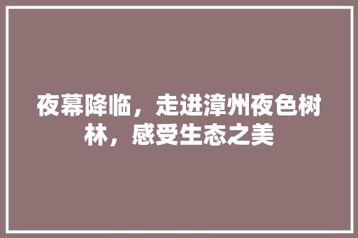 夜幕降临，走进漳州夜色树林，感受生态之美