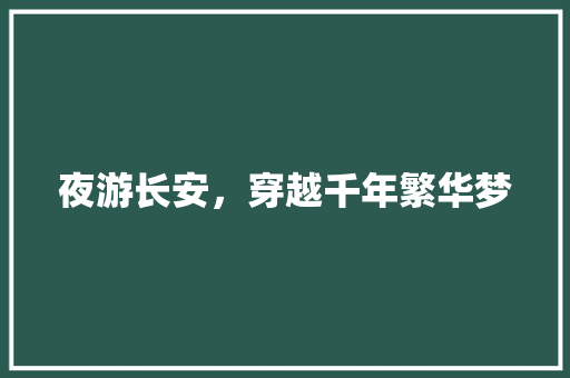 夜游长安，穿越千年繁华梦